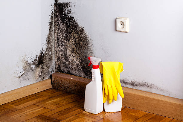 Water damage restoration process in Monticello, UT